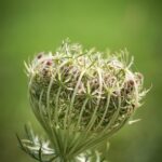 「前端開發：打造精彩用戶互動體驗」