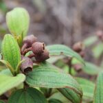 「探索前端開發：打造精彩的 Web 用戶體驗」