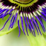 「掌握基礎：HTML與CSS 展開網頁開發之旅」