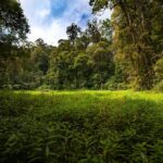 Master Java Programming: Basics to Real-World Applications