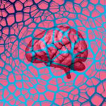 Master C Programming: From Basics to Memory Management