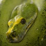 Master Python Programming: From Basics to Advanced Apps