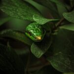 Master Python: Fundamentals to Advanced Topics for Programmers