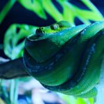 Master Python Programming: Syntax to Advanced Techniques