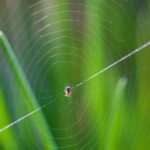 「前端與後端齊步：掌握網頁開發全局」