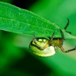 「探索前端開發：塑造用戶體驗的藝術」