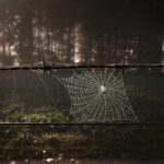 「掌握網頁開發全方位：語言、設計到安全性能」