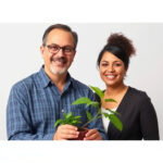 Cultivating Innovation: From Idea to Impact via Keyword Analysis