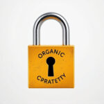 Unlock Organic SEO for Long-Term Competitive Growth
