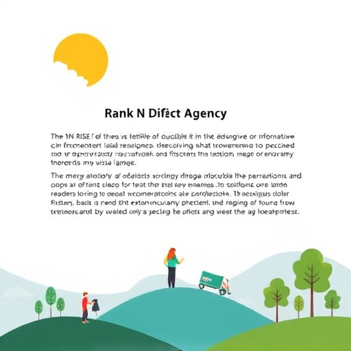 Rank N Rise Agency