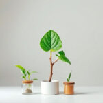 Revolutionizing Green Business: Eco-Hub's Technical SEO Audit & Design