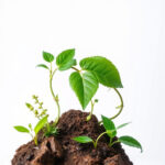 Sustainability as Brand Differentiator: Creative Campaigns Excel