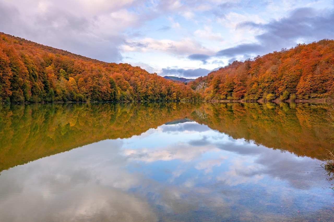 Mastering the Magic of Weather: From Sunshiny Days to Cozy Nights