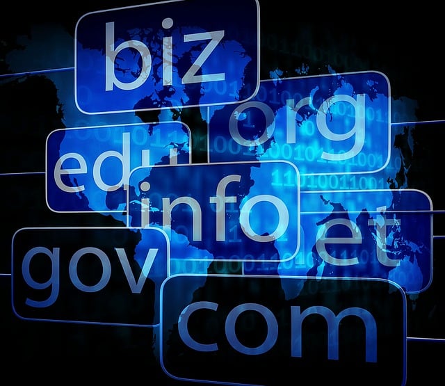 referring domains