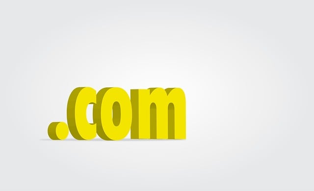 referring domains