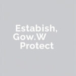 Establish, Grow, Protect: SEO WordPress for Reputational Mastery