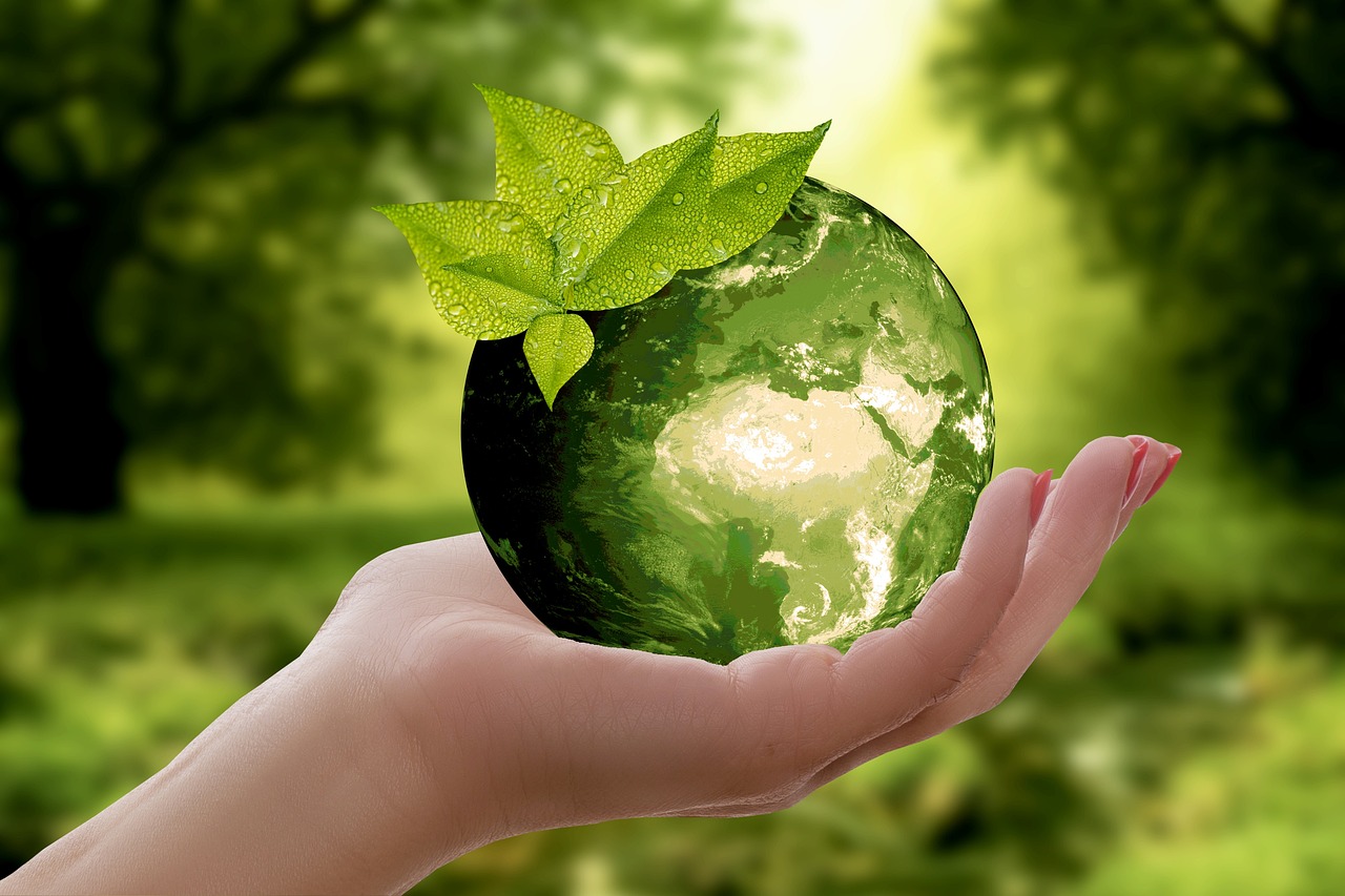 Eco Friendly Drain Cleaning: Prevent Clogs Naturally