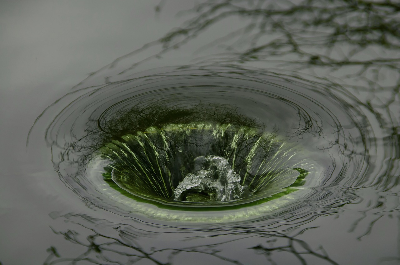 drain backup